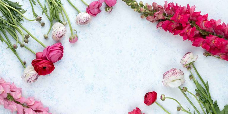 7 Best Florists in Sydney that Deliver Fresh Flowers