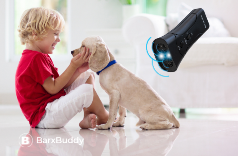 Barxbuddy Review – Harmful? Or Helpful? Must Read Before You Buy