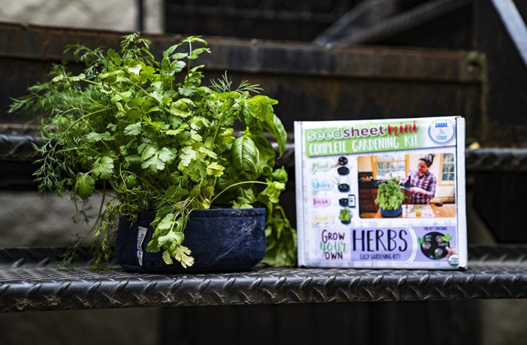 Seedsheet Review – Grow Your Own Mini Garden Naturally